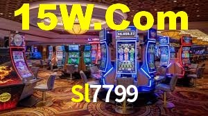 Bonus Features Sl7799